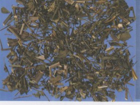 穿心莲的功效与作用,中药穿心莲图片