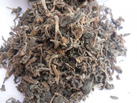 马齿苋的功效与作用,中药马齿苋图片