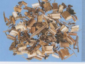 败酱草的功效与作用,中药败酱草图片