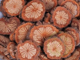 红藤的功效与作用,中药红藤图片