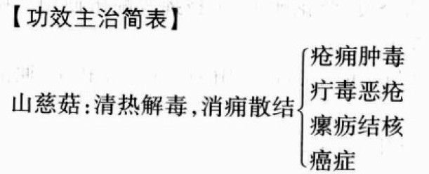 山慈菇的功效与作用