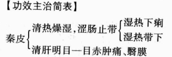 秦皮的功效与作用