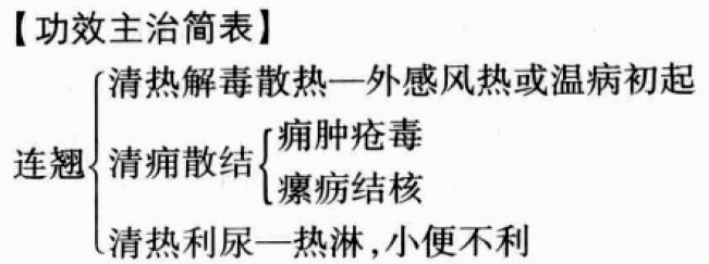 连翘的功效与作用
