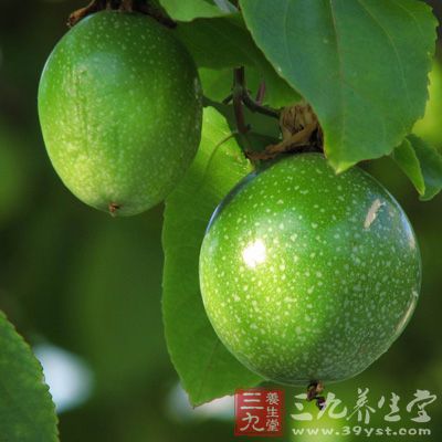 鸡蛋果是天然的镇定剂