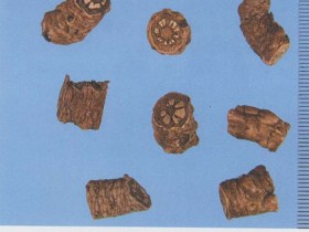 胡黄连的功效与作用及禁忌,胡黄连与黄连的区别,中药胡黄连图片