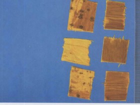 黄柏的功效与作用,黄柏的副作用及禁忌,中药黄柏图片