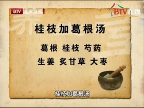 桂枝加葛根汤组成，加减运用，桂枝加葛根汤医案