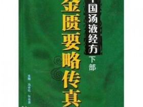《中国汤液经方(下部)金匮要略传真》