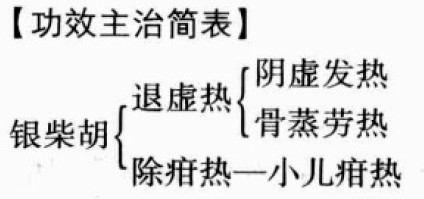 银柴胡的功效与作用