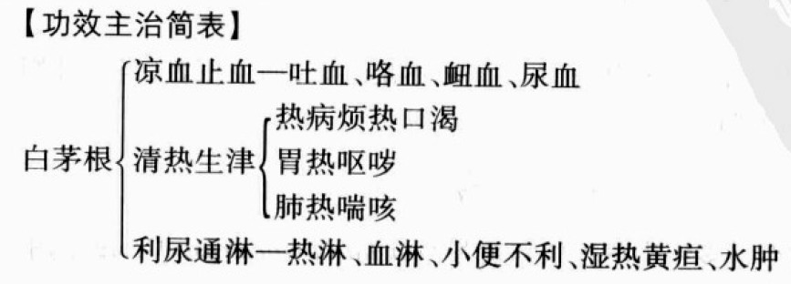 白茅根的功效与作用