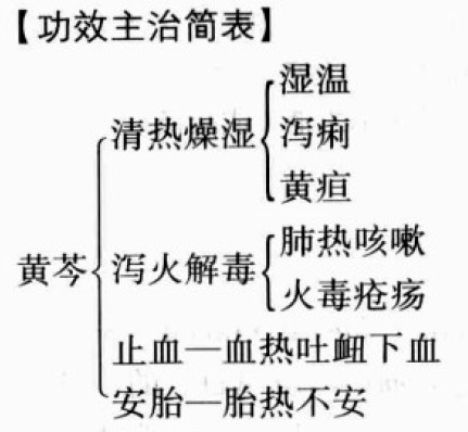 黄芩的功效与作用