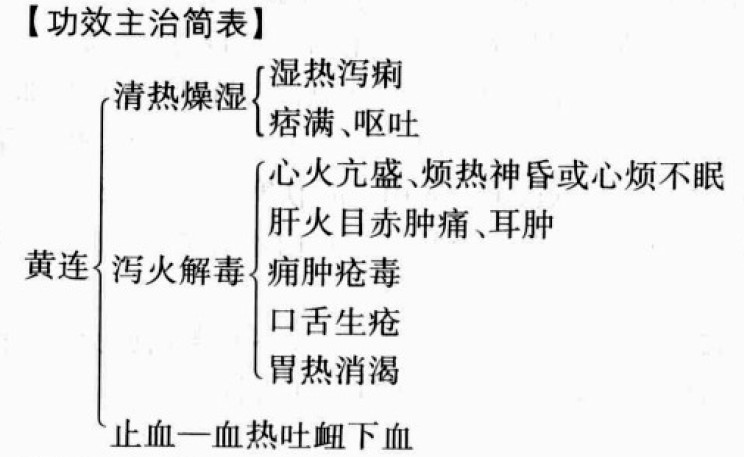 黄连的功效与作用