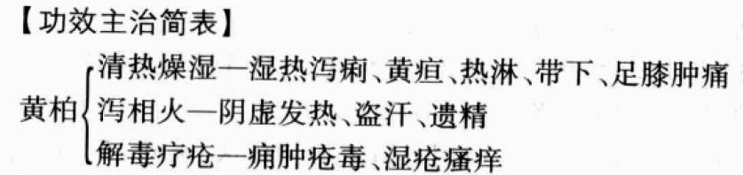 黄柏的功效与作用