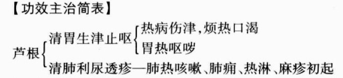 芦根的功效与作用