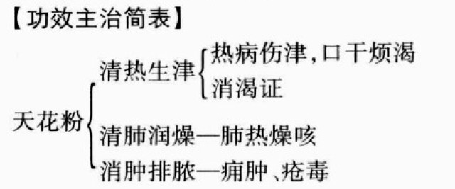 天花粉的功效与作用