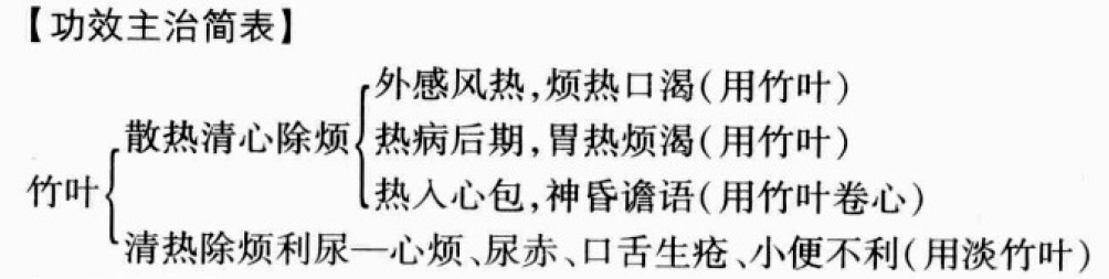 竹叶的功效与作用