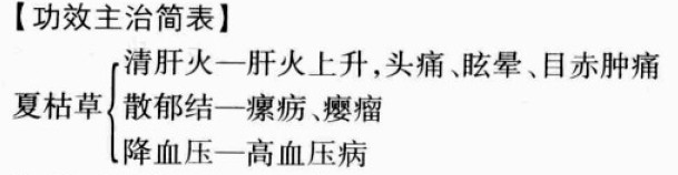 夏枯草的功效与作用