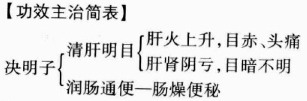 决明子的功效与作用