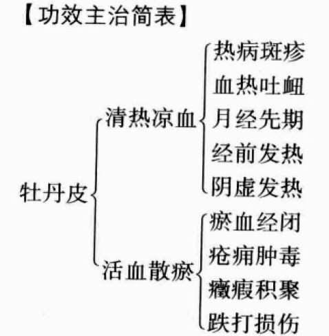 牡丹皮的功效与作用