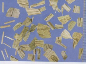 竹叶的功效与作用,淡竹叶的用法用量,中药竹叶图片