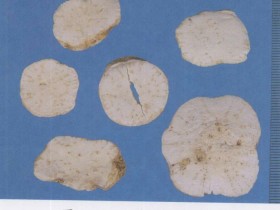 天花粉的功效与作用,天花粉的副作用及禁忌,中药天花粉图片