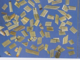 木贼的功效与作用及禁忌,中药木贼图片,木贼草的用法用量