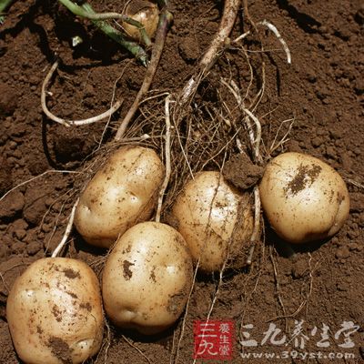 土豆能吃出好性格