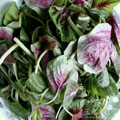 苋菜的食疗方精选