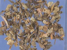 薄荷的功效与作用及禁忌,薄荷叶的用法用量,中药薄荷图片