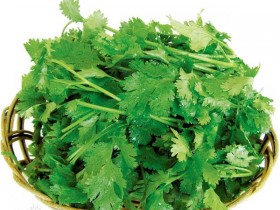 胡荽（香菜）的功效与作用及禁忌,中药胡荽图片