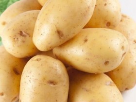 土豆的功效与作用,土豆的营养价值