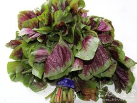 苋菜的功效与作用,苋菜的营养价值,苋菜的做法大全