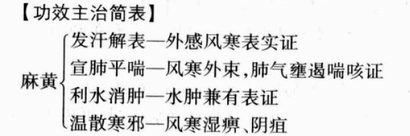 麻黄的功效与作用