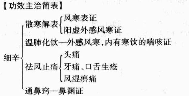 细辛的功效与作用