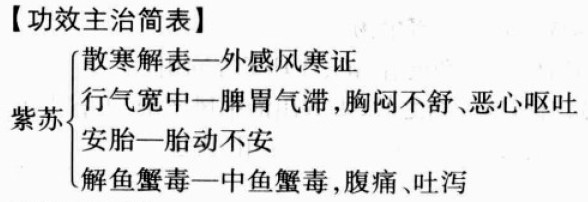 紫苏的功效与作用