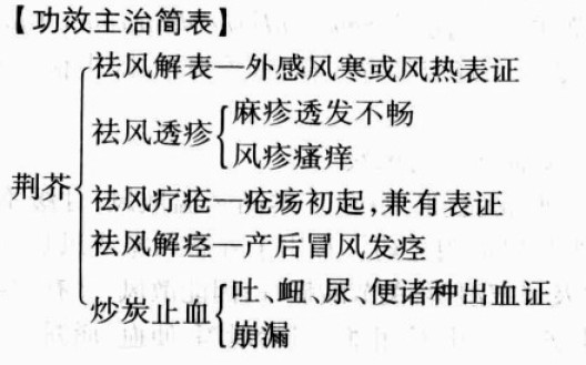 荆芥的功效与作用