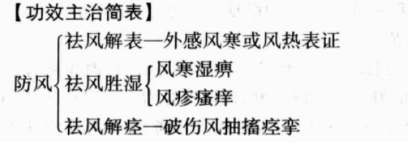 防风的功效与作用