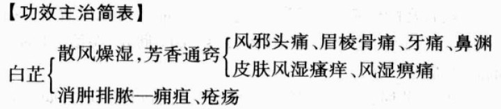 白芷的功效与作用