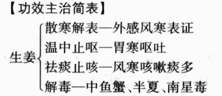 生姜的功效与作用