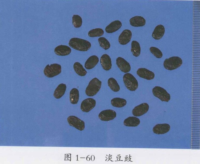 中药淡豆豉图片