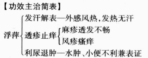 浮萍的功效与作用