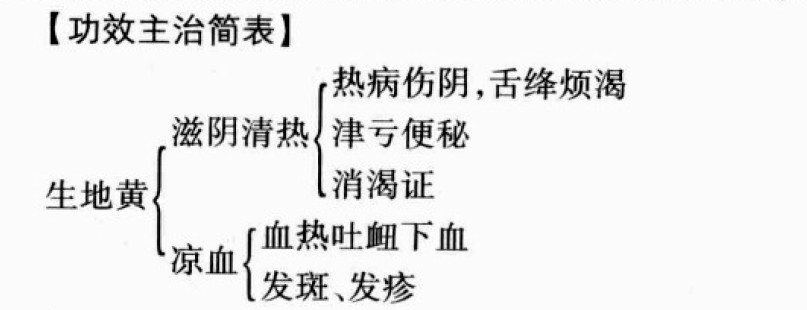 生地的功效与作用