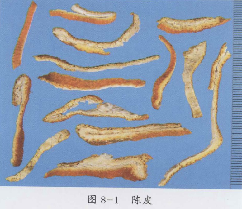 陈皮图片