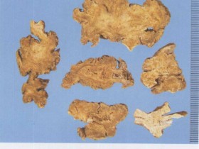 藁本的功效与作用及禁忌,藁本图片,中药藁本的用法