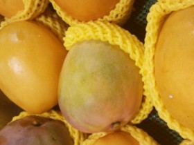 芒果不能和什么一起吃,芒果的功效与作用