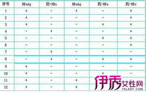 乙肝检查结果分析