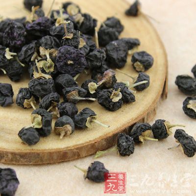 黑枸杞能增强大脑对事物的记忆能力和知识的学习能力