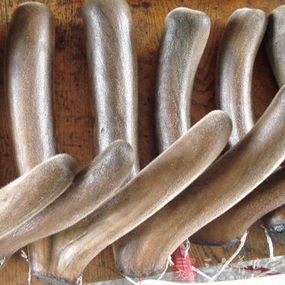 中年妇女适宜吃鹿茸