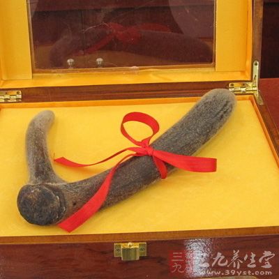 鹿茸可用于泡延寿获嗣酒