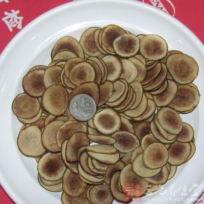 鹿茸片治精血俱虚，营卫耗损，潮热自汗，怔忡惊悸，肢体倦乏，一切虚弱之症